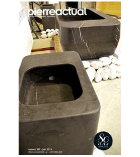 n°917 juin 2013