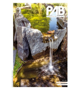 PAB 55 4/2017 (num)